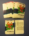  Lot of 100 Old Vintage SCARLET RUNNER FLOWER SEED PACKETS - EMPTY