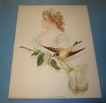 Old Vintage 1903 - Antique VICTORIAN PRINT - Song Birds - SYBIL SANDERSON