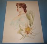Old Vintage 1904 - Antique VICTORIAN PRINT - Eminent Actresses - LILY LANGTRY
