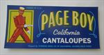  Lot of 100 Old Vintage - PAGE BOY - Cantaloupe - LABELS - SALINAS CA.