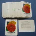  Lot of 100 Old CALENDULA Pacific Beauty FLOWER - SEED PACKETS - EMPTY