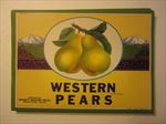  Lot of 100 Old Vintage 1930's - WESTERN PEARS - Crate LABELS - WASH. 