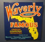  Lot of 100 Old Vintage - WAVERLY - Florida CITRUS Crate LABELS - MAP