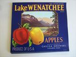  Lot of 100 Old Vintage LAKE WENATCHEE - Apple LABELS - Cashmere WASH.