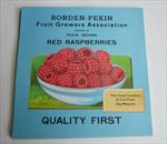  Lot of 25 Old Vintage BORDEN PEKIN Red Raspberries LABELS - Indiana 