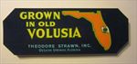  Lot of 100 - GROWN IN OLD VOLUSIA Citrus LABELS DeLeon Springs FLORIDA