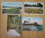 4 Old 1910's SAN MATEO County California POSTCARDS