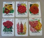 Lot of 6 Old Vintage 1950's - 1970's - FLOWER - SEED PACKETS - Larger Size 