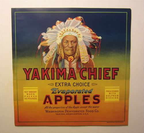  Lot of 25 Old Vintage - YAKIMA CHIEF - Apple LABELS - Indian - 10" 