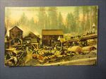 Old c.1910 Western LUMBER MILL - POSTCARD - Cutting GIANT REDWOOD TREES 