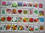 Lot of 32 Old Vintage 1970's - FLOWER SEED PACKETS - Lone Star - EMPTY