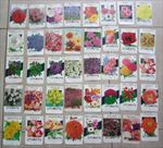 Lot of 40 Old Vintage 1960's - FLOWER SEED PACKETS - Lone Star - EMPTY