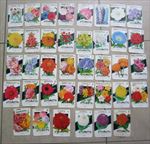 Lot of 38 Old Vintage 1950's - FLOWER SEED PACKETS - Lone Star - EMPTY
