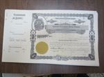 Lot of 5 Old Vintage - AMBERGIS MINING COMPANY - Stock Certificates - IDAHO