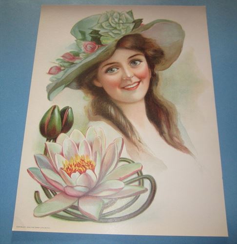Old Vintage 1906 - Antique VICTORIAN PRINT - Lady - WATER LILY - FLOWER