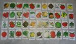 Lot of 44 Old Vintage 1960's-70's - VEGETABLE SEED PACKETS - Lone Star - EMPTY