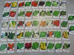Lot of 47 Old Vintage 1960's-70's - VEGETABLE SEED PACKETS - Lone Star - EMPTY