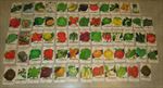 Lot of 63 Old Vintage 1960's-70's - VEGETABLE SEED PACKETS - Lone Star - EMPTY