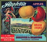#ZLC242 - Appleton Bellflower Apple Crate Label