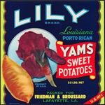 #ZLC430 - Lily Louisiana Porto Rican Yams Sweet Potatoes Crate Label