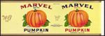#ZLCA144 - Large Marvel Pumpkin Can Label