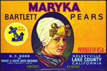 #ZLCA*034 - Large Maryka Bartlett Pears Crate Label