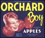 #ZLC243 - Orchard Boy Apple Crate Label