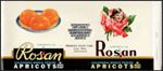 #ZLCA319 - Rosan California Apricots Can Label - Lynn MA