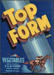 #ZLSH204 - Top Form Vegetables Crate Label - Race Horse and Jockey