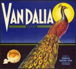 #ZLC287 - Vandalia Sunkist Orange Fruit Crate Label - Peacock