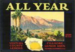 #ZLC467 - All Year Sunkist Lemon Crate Label - Fillmore, California