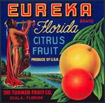 #ZLC418 - Eureka Florida Citrus Label - American Indian with Flute