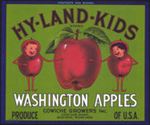#ZLC293 - Large Bushel Size Hy-Land-Kids Apple Crate Label - Green Version