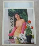Old Vintage 1970's - IT'S A GREAT FEELING - Pinup Calendar Print 