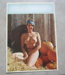 Old Vintage 1970's - HARVEST MAIDEN - PUMPKINS - Pinup Calendar Print 
