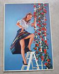 Old Vintage 1960's - STEPPIN - Roses - Pinup Calendar Print 