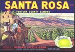 #ZLC184 - Sunkist Santa Rosa Lemon Crate Label