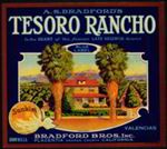 #ZLC151 - Tesoro Rancho Sunkist Orange Label