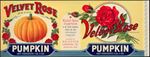 #ZLCA076 - 11" Wide Velvet Rose Pumpkin Can Label