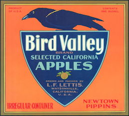 #ZLC172 - Bird Valley Apples Crate Label