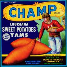 #ZLC093 - Champ Louisiana Sweet Potatoes Crate ...