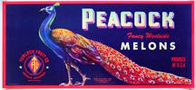 #ZLC232 - Spectacular Large Peacock Melon Label