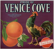 #ZLC234 - Pride of Venice Cove Orange Crate Label